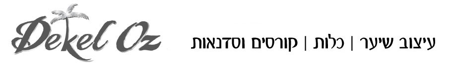 תסרוקת כלה | דקל עוז